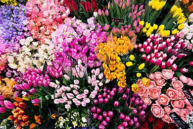 《龙珠Z:卡卡罗特》第六个DLC已被曝光 第五个还没发售